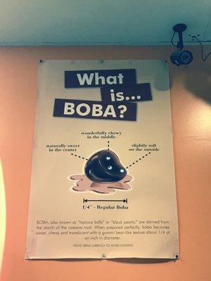 Get schooled "What is Boba?"