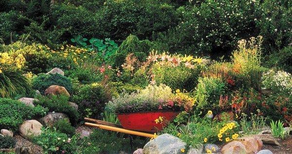 Flower beds