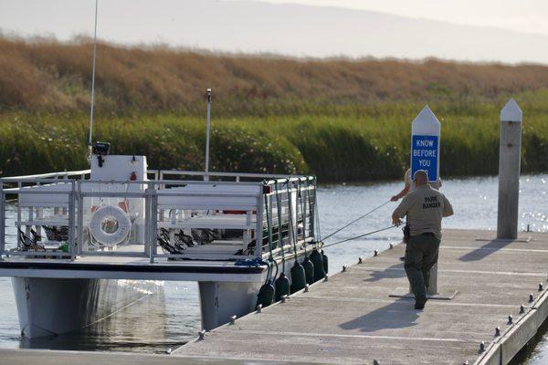 🏞️Santa Clara County Parks Salt Marsh Safari🏞️