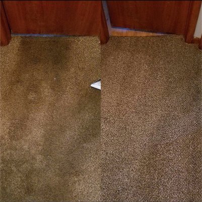 Miracle Carpet & Upholstery Cleaning