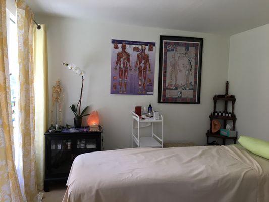 A view inside the treatment room, equipped with my patients in mind.  It looks out over a tropical garden and is very relaxing