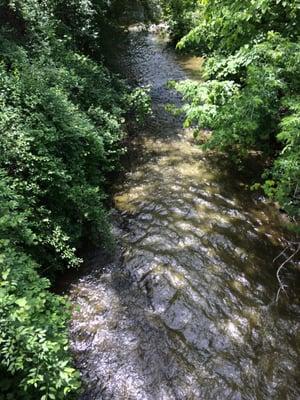 Creek next to the restaurant .