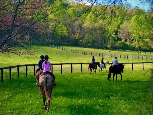 The Stables at Wulf Crest Farm