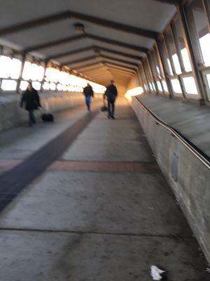 Tunnel over the tracks between parking lot and boarding area. Headed to my shuttle!