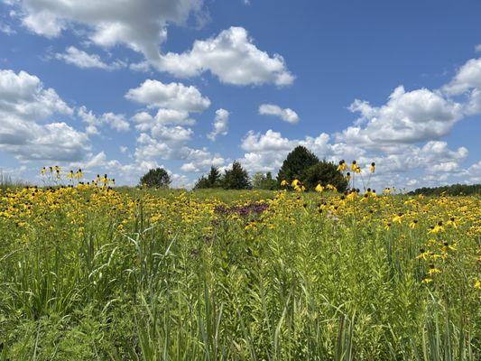 Kill Creek Park