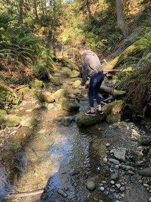 Walking up the creek in March