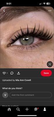 These are the lashes I wanted