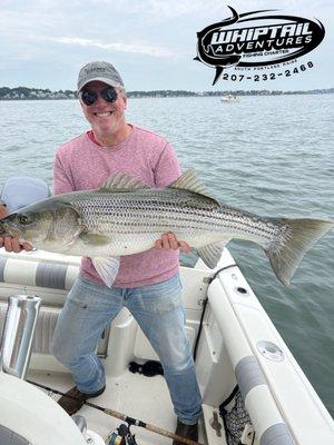 Whiptail Adventures Fishing Charters