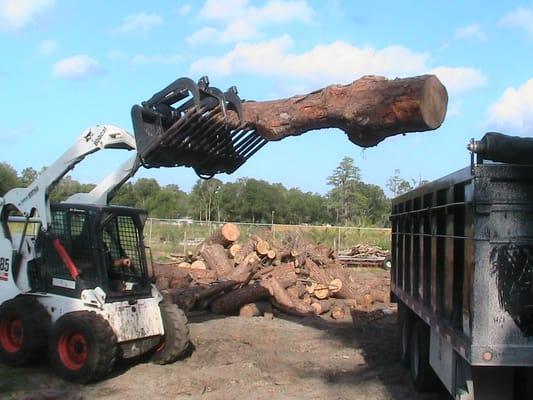 Bobcat services and  hauling available !