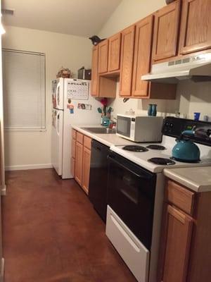 kitchen in the 1br apartment, "Villas" (cat on the cabinets not included)