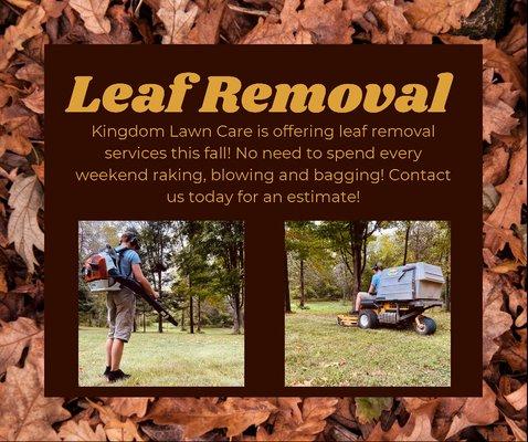 Fall Leaf Removal - Kingdom Lawn Care - Lake Mills, WI 53551