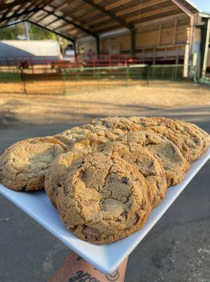 Salted Chocolate Chip Cookies