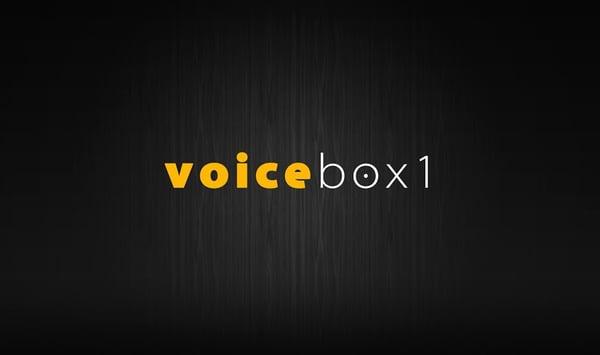 Voicebox1