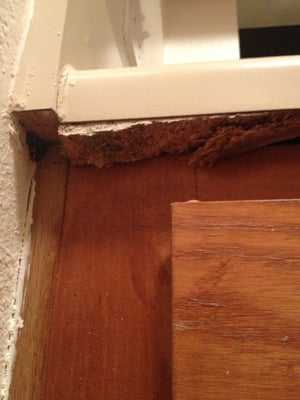 rotted counter in Kitchen from yet ANOTHER water leak?