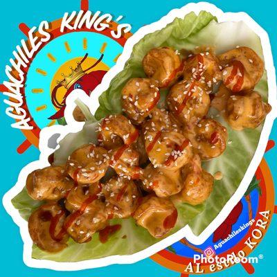 AGUACHILES KINGS