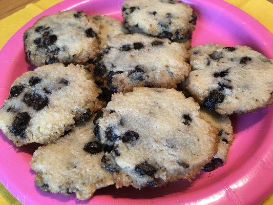 Shortbread chocolate chip cookies-low carb, gluten friendly, and sugar free. Pour a glass of milk and enjoy.