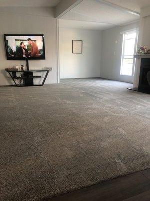 Fresh clean carpet