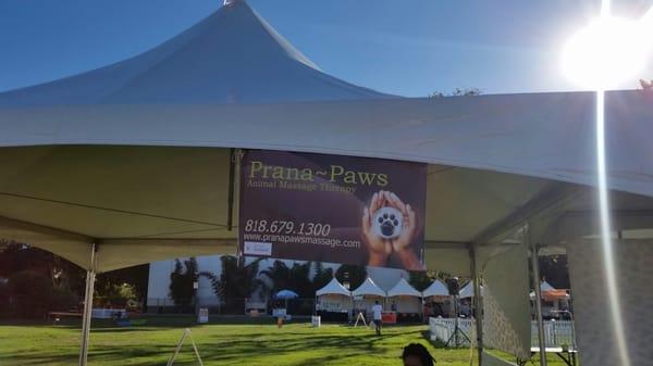 Prana Paws Animal Massage Therapy