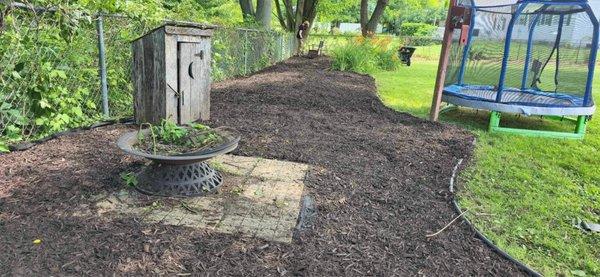 Mulch brought the life back of this backyard!