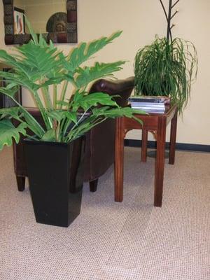 Live, well-cared for plants make this reception area welcoming, professional, and represent a successful organization.