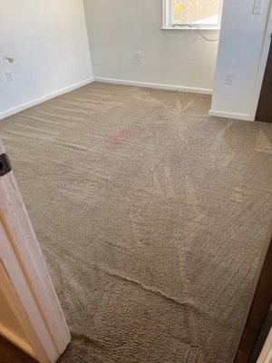 Carpet Cleaning