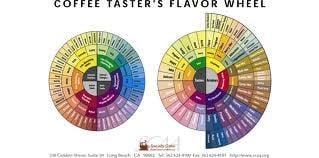 coffee flavor wheel #scaa #flavorwheel