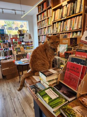 Split Rock Books