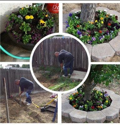 Landscaping reno at an old property we owned