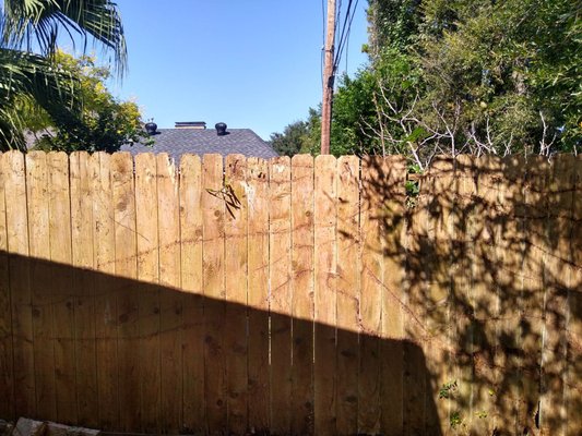 And these are the aftermath of the fence job