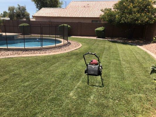 Biweekly Lawn Maintenance