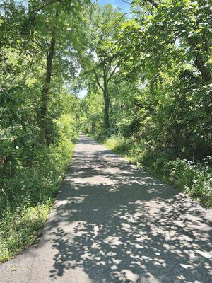 Monon Trail near the park