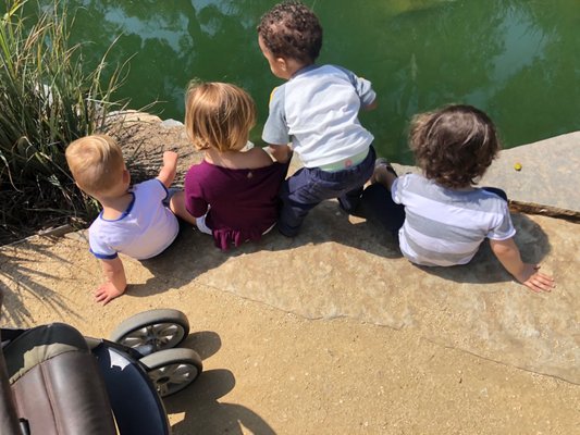 Photo sent to me by Camilla with children at the park sitting around the lake.