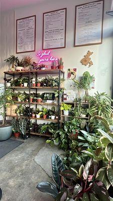 Huge houseplant selection available for purchase inside Bahn & Butter Bakery Cafe