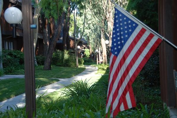 HOA landscaping