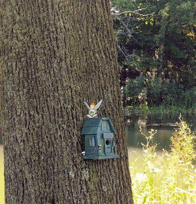 Fairy bird feeder ‍