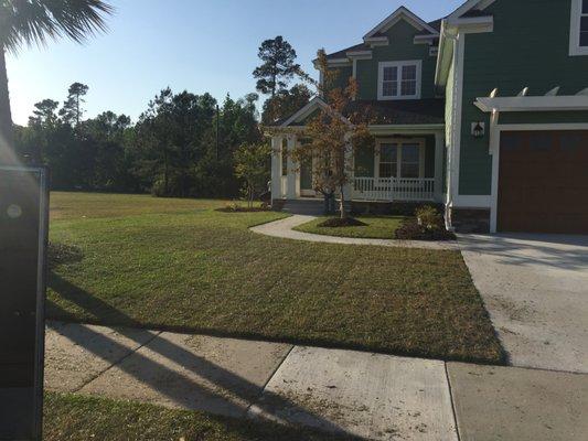 Myrtle Beach lawn care in Carolina Forest area by Grand Dunes Landscape and Maintenance in Myrtle Beach, South Carolina.