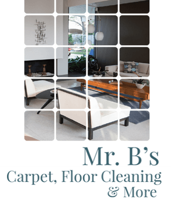 Mr. B's Carpet, Floor Cleaning, and More