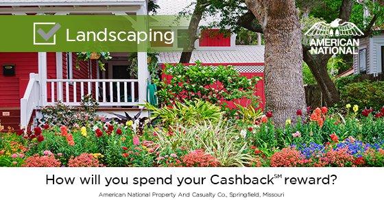 How will you spend your annual 25% Cashback checks from American National?