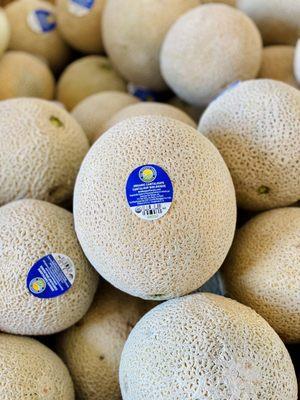 Organic Cantaloupe