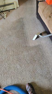 After 13 years cleaning the carpet makes a huge difference. The home is much healthier and prettier.