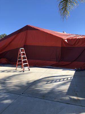 Tarps going up on a Fumigation.