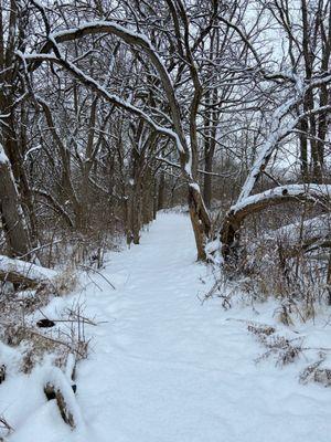 Koogler Wetland Prairie Reserve