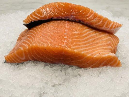 Salmon