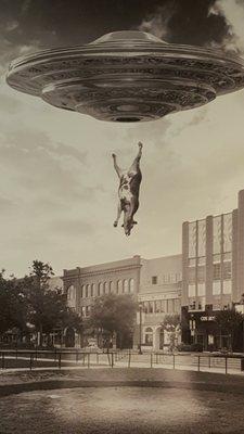 Alien abduction in Market Street The Woodlands, TX