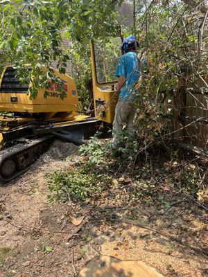 Stump grinding in very tight quarters along 2 fence lines.