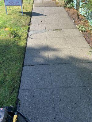 After. I Pressure wash sidewalks.