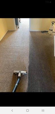 Dallas carpet cleaners