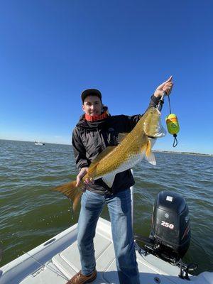 Big bull Redfish. Three of us amateurs each had one of on the line at the same time, only this one made it to the boat. What a fight!