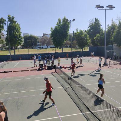 Holly cow, look at how many people came out to play Pickleball with us.