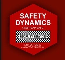 SAFETY DYNAMICS SECURITY